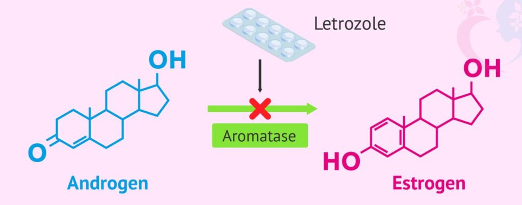 Clinical Application of Letrozole in Gynecology | Dr.Sachin Dalal